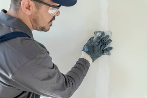 Best Comprehensive Air Testing for Mold Contaminants  in North Charleston, SC