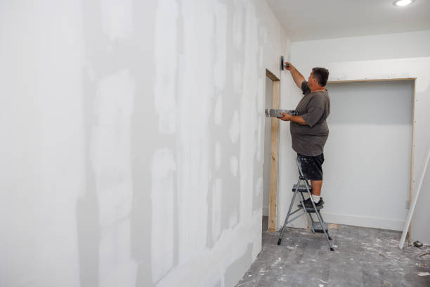 Best Black Mold Removal  in North Charleston, SC