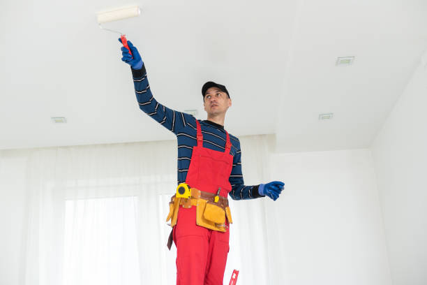 Trusted North Charleston, SC Mold Removal Experts