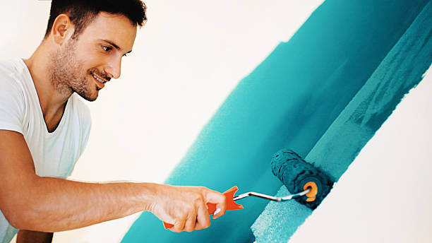 Best Mold Removal for HVAC Installations  in North Charleston, SC