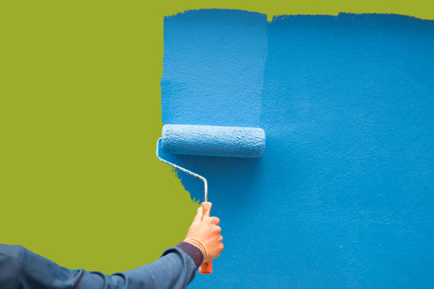 Best Post-Construction Mold Inspection  in North Charleston, SC